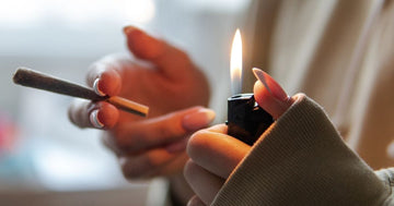 Utforska de positiva egenskaperna hos CBD Buds och köp dem hos oss på Casacaris.com