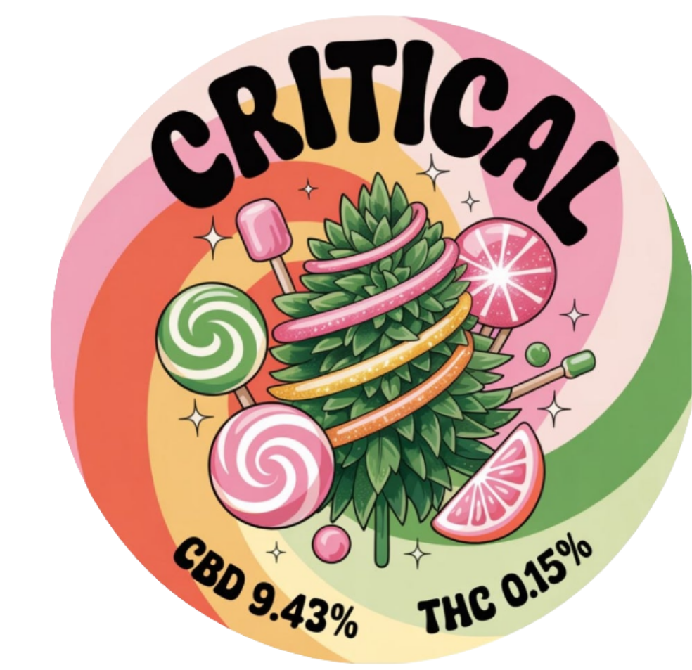 CRITCAL | EU CERTIFIERAD HAMPA | 9.45% CBD + CBDA