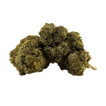 MUNCHIES HAZE | 26% THCA | 5 G