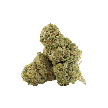 DIDDYS LOTION | 23% THCA | 5 G